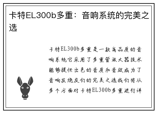 卡特EL300b多重：音响系统的完美之选