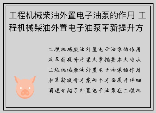 工程机械柴油外置电子油泵的作用 工程机械柴油外置电子油泵革新提升方案
